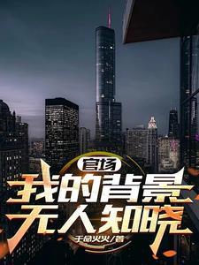 官场:我的背景无人知晓