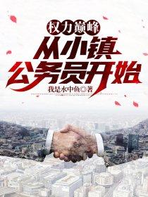 权力巅峰:从小镇公务员开始