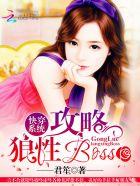 快穿系统:攻略狼性boss