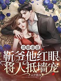 离婚重逢,靳爷他红眼将人抵墙宠