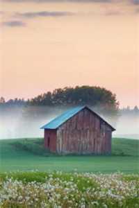 短篇小说阅读悟性满点!我习得禁忌绝招