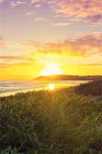 精选篇章快穿:妾室争宠守则