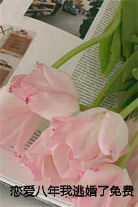 恋爱八年我逃婚了免费阅读顾现江苒