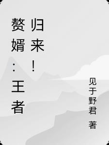 赘婿王者归来免费阅读
