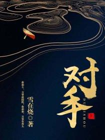 对手电视剧免费观看全集