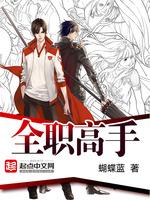 全职高手百度百科