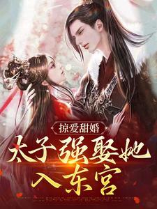 掠爱甜婚太子强娶她入东宫全文阅读