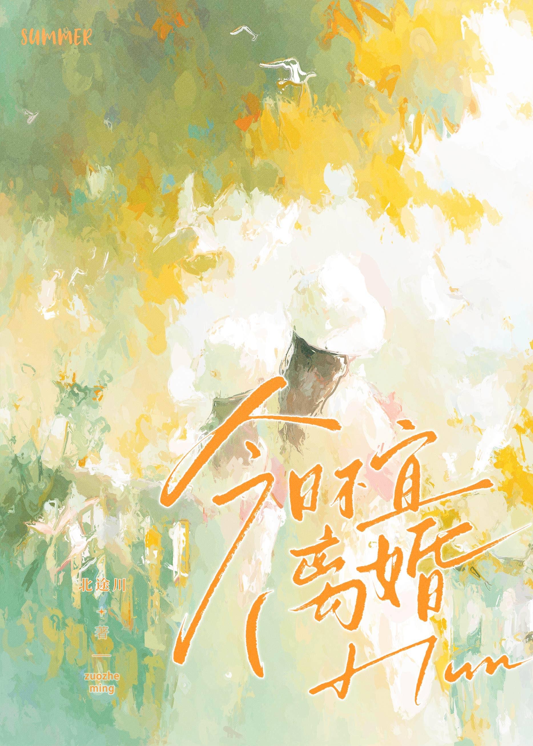 今日不宜离婚TXT