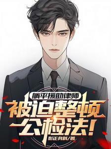 被迫整顿公检法txt