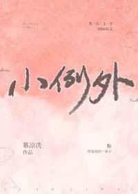 小例外txt全文免费阅读