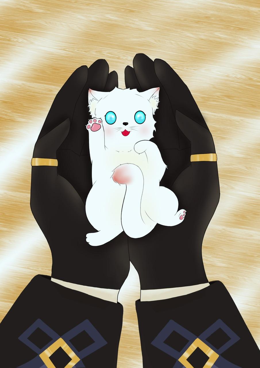 原神猫猫值得培养吗