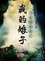 我的娘子是绝顶高手