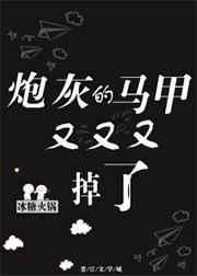 炮灰的马甲又又又掉了TXT