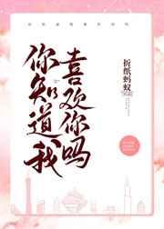 你知道我喜欢你吗英文缩写