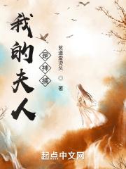 我的夫人是神捕女主有几个