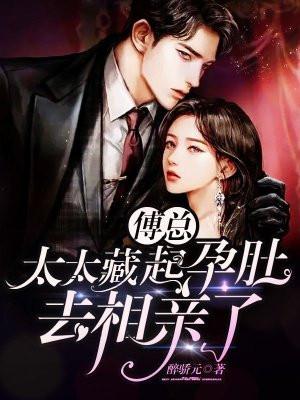 太太藏起孕肚去相亲了 醉骄元