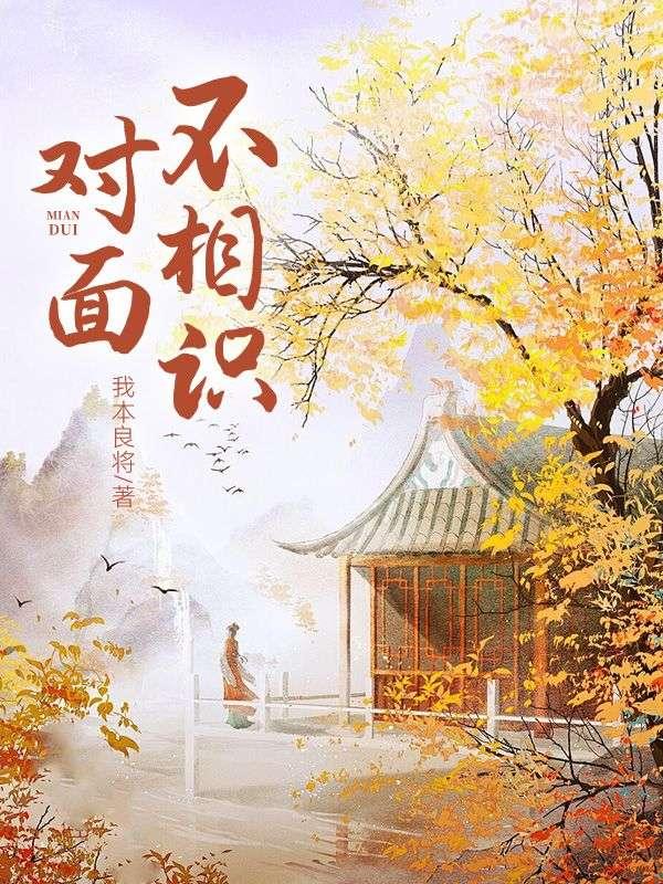 对面不相识最经典十句话