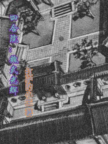 四合院之魏武光辉全文阅读