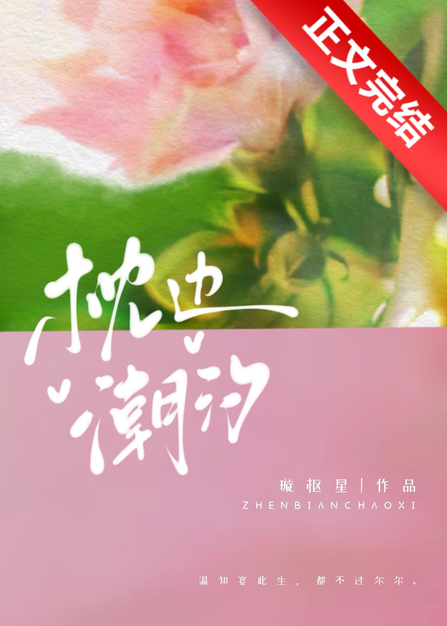 枕边潮汐璇枢星txt