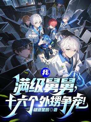 十六个外甥争宠