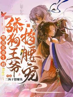 重生王爷的心尖黑莲花