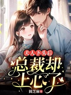 总裁又来求婚了免费阅读