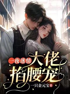 一夜缠绵大佬宠妻