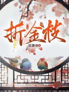 折金枝 作者深渊在侧