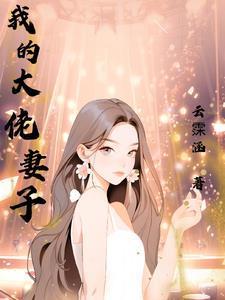我的老婆我大佬3