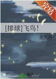 排球飞鸟by舍风月