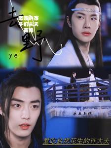 忘羡的孩子们从天而降宝宝来了