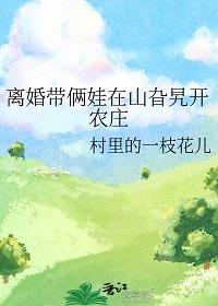 离婚带两娃啥梗?