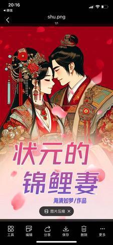 状元农妻有商城