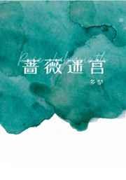 蔷薇迷宫晋江文学城