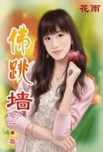 佛跳墙vp官方版2021破解