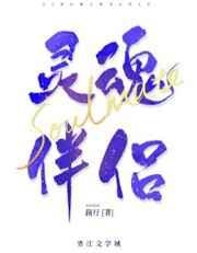 我的灵魂伴侣歌曲