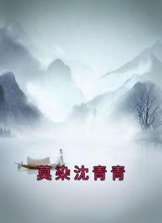 莫染沈柒柒的名