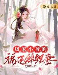 女主是凤家二小姐的