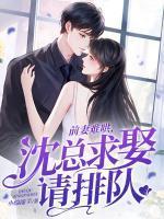 前妻难追沈棠靳言琛