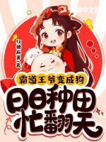 霸道王爷喜当爹