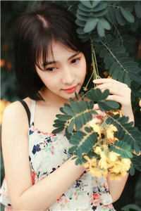 声声呼唤什么意思