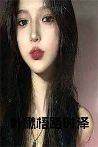 女主叫叶梧的免费