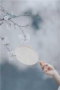 穿越七零之全家大反派