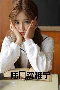 沈稚宁陆璟名字