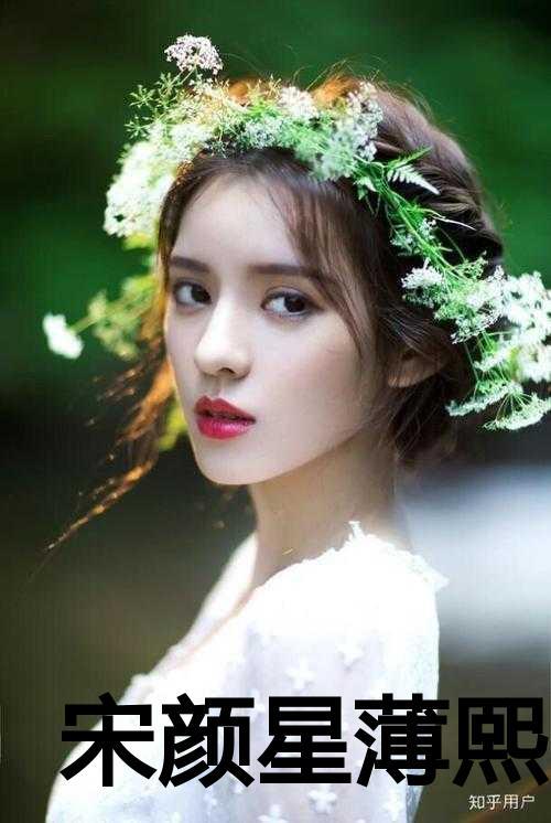 女主叫宋薄情的