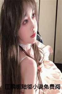 江晚芙陆则全文阅读
