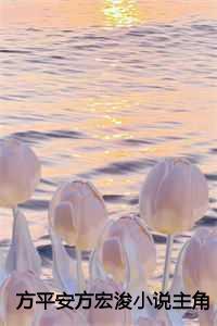 方平主角全文免费阅读
