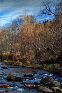 青春的那些事完整版