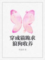 穿越成猫的我要和一只狗谈恋爱免费阅读