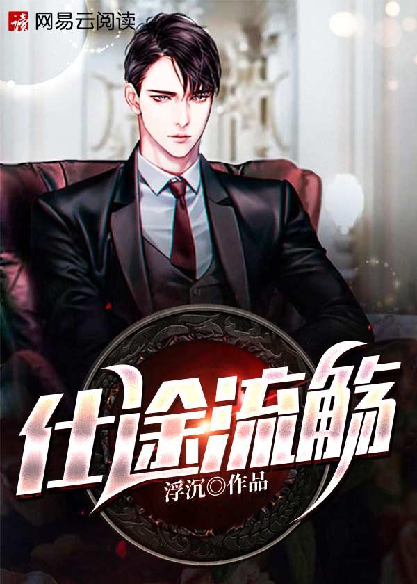 从乡镇到中央的长篇官场